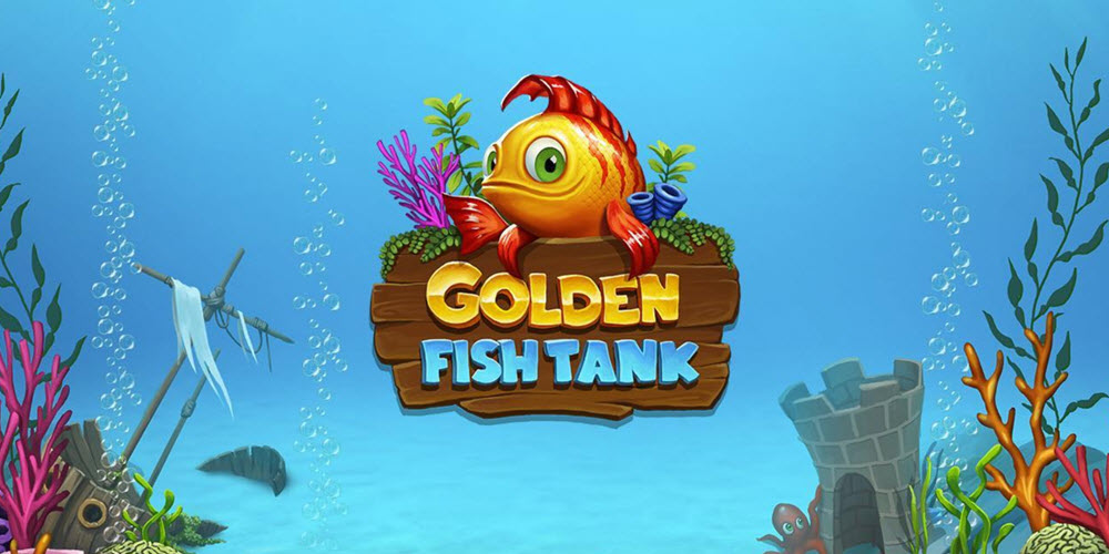 golden fish tank